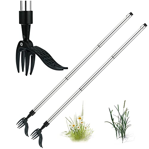 Unkrautstecher Handjäter Aluminium Stehen Unkrautzieher Pflanzen Unkrautentferner Garten Unkrautschneider Jäter Werkzeug Einstellbares Unkrautgerät mit Krallen Stand-up Unkraut Abzieher Werkzeug Unkrautstecher Handjäter Aluminium Stehen Unkrautzieher Pflanzen Unkrautentferner Garten Unkrautschneider Jäter Werkzeug Einstellbares Unkrautgerät mit Krallen Stand-up Unkraut Abzieher Werkzeug von Youning