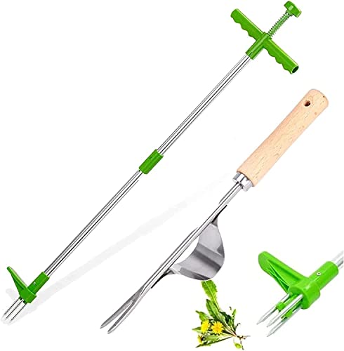 Youning Löwenzahnstecher Unkrautstecher mit Stahlkrallen Unkraut Ausstecher Distelstecher Unkrautentferner Stehen Unkrautzieher Langer Griff Garten Jätwerkzeug Entfernen von Unkraut ohne Bücken Youning Löwenzahnstecher Unkrautstecher mit Stahlkrallen Unkraut Ausstecher Distelstecher Unkrautentferner Stehen Unkrautzieher Langer Griff Garten Jätwerkzeug Entfernen von Unkraut ohne Bücken von Youning