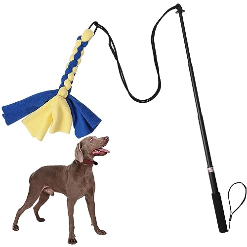 Youpo Hundeflirtstange - Hundeangelstange mit Zerrspielzeug - Flexible Trainingsstange für Hunde, Haustier-Trainingsstange für draußen und drinnen, stimuliert die Mundgesundheit von Youpo