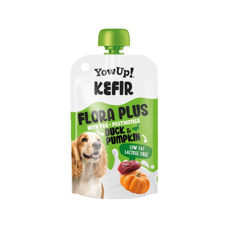 YowUp! Kefir Flora Plus - Ente und Kürbis - 115 g YowUp! Kefir Flora Plus - Ente und Kürbis - 115 g von YowUp!