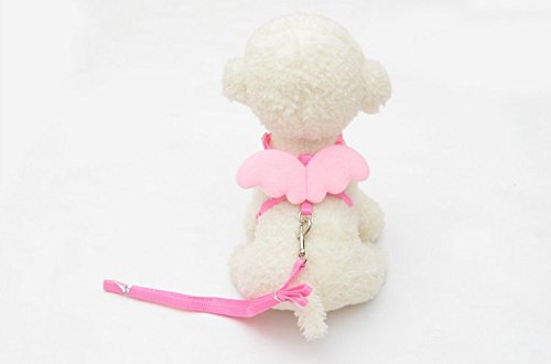 Yowablo Niedliche Angel Pet Dog Leads und Halsbänder Set für Small Pet Designer Wing einstellbar (18-28cm,Rosa) von Yowablo