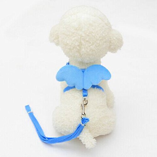 Yowablo Niedliche Angel Pet Dog Leads und Halsbänder Set für Small Pet Designer Wing einstellbar (20-32cm,Blau) von Yowablo
