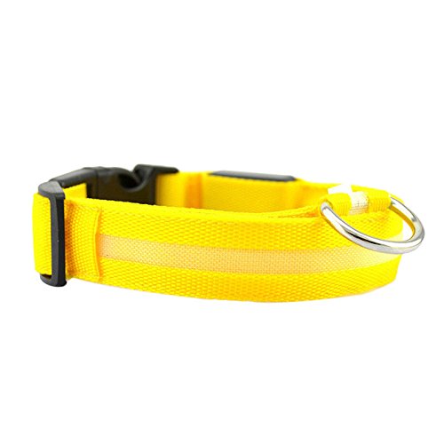 Yowablo Sicherheit Haustierhalsband beleuchtete Nylon Solid Hundehalsband Glow Halskette (2.5 * 35-38cm,3Gelb) von Yowablo