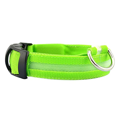 Yowablo Sicherheit Haustierhalsband beleuchtete Nylon Solid Hundehalsband Glow Halskette (2.5 * 35-38cm,3Gr?) von Yowablo