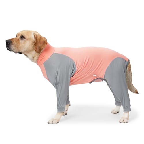 Yoyoxinfish Hunde-Genesungsanzug für Hunde, verhindert das Lecken von Wunden, nach Operationen, weiblich, männlich, mittelgroß, groß, Hunde-Pyjama, langärmelig, Hundebody verhindert Haarausfall (Rosa, Yoyoxinfish Hunde-Genesungsanzug für Hunde, verhindert das Lecken von Wunden, nach Operationen, weiblich, männlich, mittelgroß, groß, Hunde-Pyjama, langärmelig, Hundebody verhindert Haarausfall (Rosa, von Yoyoxinfish