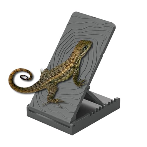 Yplkm Sonnenplatz Rampe Für Bartagame - Eidechsen Kletterschiefer Terrarium Habitat | Höhenverstellbare Landschildkröten Terrarium Dekoration Zum Spielen Für Schlangen Chamäleons Molche Frösche Yplkm Sonnenplatz Rampe Für Bartagame - Eidechsen Kletterschiefer Terrarium Habitat | Höhenverstellbare Landschildkröten Terrarium Dekoration Zum Spielen Für Schlangen Chamäleons Molche Frösche von Yplkm