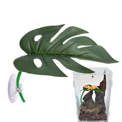 Yplkm Terrarium Deko - Blattförmige Terrarienpflanzen - Sicherer Lebensraum Für Amphibien Für Hotels Restaurants Wohnzimmer Tischdekoration Nachttische Partys Hinterhof Garten Yplkm Terrarium Deko - Blattförmige Terrarienpflanzen - Sicherer Lebensraum Für Amphibien Für Hotels Restaurants Wohnzimmer Tischdekoration Nachttische Partys Hinterhof Garten von Yplkm