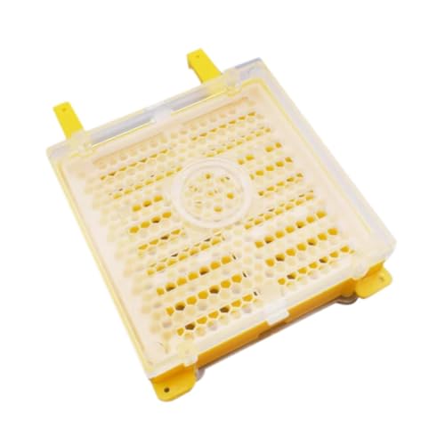 YsXoWiui Bienenzukeke transplantieren Set Biene Laying Breebings Imkere transplantieren Werkzeugversorgungen gelbes Zubehör von YsXoWiui