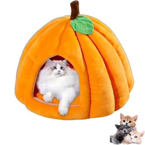 2025 Katzenhöhle in Kürbisform, Halloween-Katzenhaus mit abnehmbarem Kissen, flauschiges, warmes Kürbis-Katzenhaus für Hauskatzen, Kätzchen und kleine Hunde (Orange, M) von Ysaca