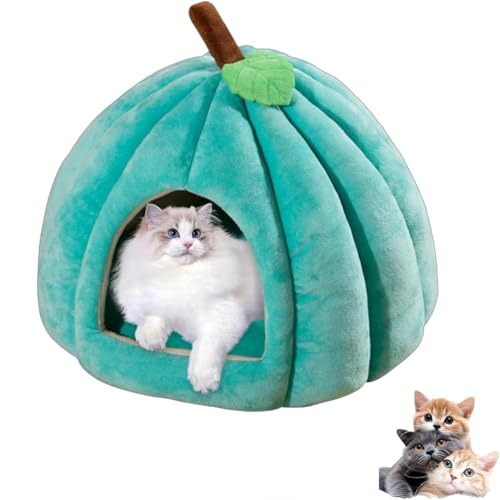 2025 Katzenhöhle in niedlicher Kürbisform, Halloween-Katzenhaus mit abnehmbarem Kissen, flauschiges, warmes Kürbis-Katzenhaus für Hauskatzen, Kätzchen und kleine Hunde (Blau, S) von Ysaca