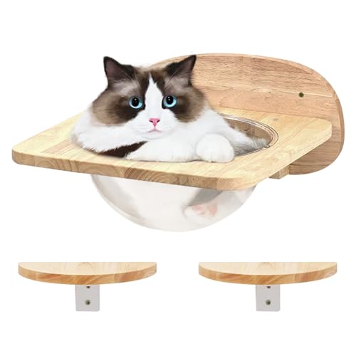 Kletterwand Katzen, Transparent Katzenhaus Set mit 2 Pedalen als Katzenwandmöbel, Kratzbaum Wand Hängematte Katze Katzenwand Wandkratzbaum Katzenmöbel Katzen Kletterwand, Spielzeug für Innen Katzen Kletterwand Katzen, Transparent Katzenhaus Set mit 2 Pedalen als Katzenwandmöbel, Kratzbaum Wand Hängematte Katze Katzenwand Wandkratzbaum Katzenmöbel Katzen Kletterwand, Spielzeug für Innen Katzen von Ysislybin