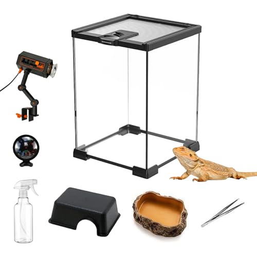 Terrarium für Reptilien-Set, 30 * 20 * 20 cm Aufzuchtbox aus Glas Terrarienstarterset mit Lichteimer Thermometer Kleines Becken mit Steinmuster Futternapf Pinzette und Kleine Gießkanne für Reptilien von Ysislybin