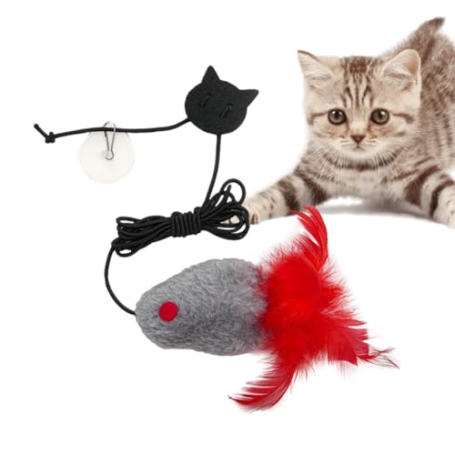 Ysvnlmjy Katzenspielzeug mit Federn, interaktives Spielzeug, elastisches Haustier-Katzenspielzeug, buntes Katzenspielzeug für kleine und mittelgroße Katzen von Ysvnlmjy