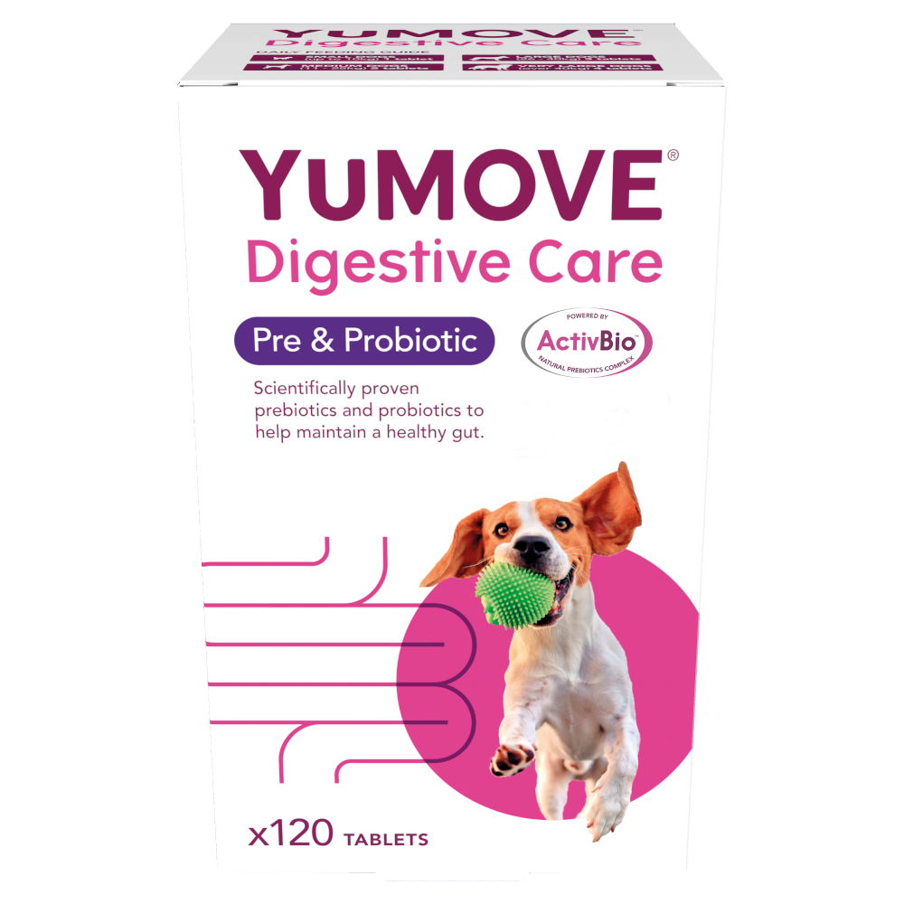 YuMOVE Digestive Care Pre- & Probiotic Hund - 120 Tabletten von YuMOVE