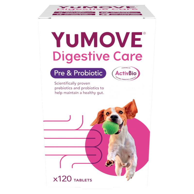 YuMOVE Digestive Care Pre- & Probiotic Hund - 120 Tabletten von YuMOVE