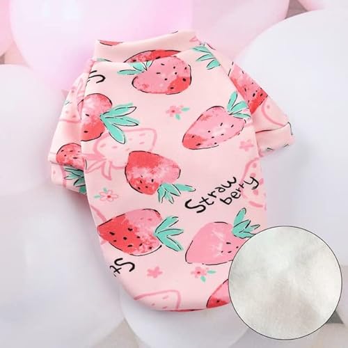 YuZiJiang Weihnachten Haustier Katze Kostüm Kleidung für Katzen Winter Sweatshirt Hoodie Anzug Maskottchen Kleidung YuZiJiang Weihnachten Haustier Katze Kostüm Kleidung für Katzen Winter Sweatshirt Hoodie Anzug Maskottchen Kleidung von YuZiJiang