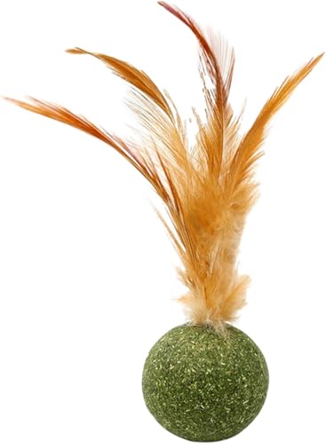 YuanHolumid Magic Cat Play Balls Catnip Ball Edible Kitten Catnip Feather Ball, Cat for Cats Lick, Interactive Cat Toys Lick Chew for Indoor Cat Teeth Cleaning Relieve Cat and Bad Mood Treats von YuanHolumid