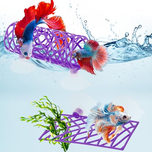 Betta Aquarium-Zubehör, Betta-Tunnel und Hängematte, Aquarium-Versteck, Bettas-Fischspielzeug mit Saugnäpfen, perfekt zum Verstecken und Spielplatz, 9,9 x 5,1 cm Plattform, 9,9 x 4,1 cm Tunnel (lila) Betta Aquarium-Zubehör, Betta-Tunnel und Hängematte, Aquarium-Versteck, Bettas-Fischspielzeug mit Saugnäpfen, perfekt zum Verstecken und Spielplatz, 9,9 x 5,1 cm Plattform, 9,9 x 4,1 cm Tunnel (lila) von Yuanan