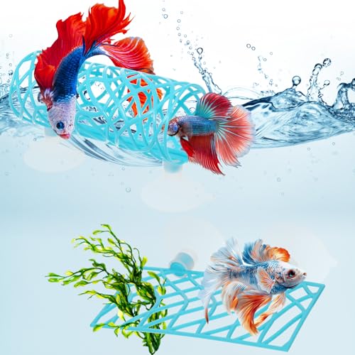 Betta Aquarium-Zubehör, Betta-Tunnel und Hängematte, Aquarium-Versteck, Bettas-Fischspielzeug mit Saugnäpfen, perfekt zum Verstecken und Spielplatz, 9,9 x 5,1 cm Plattform, 9,9 x 4,1 cm Tunnel (blau Betta Aquarium-Zubehör, Betta-Tunnel und Hängematte, Aquarium-Versteck, Bettas-Fischspielzeug mit Saugnäpfen, perfekt zum Verstecken und Spielplatz, 9,9 x 5,1 cm Plattform, 9,9 x 4,1 cm Tunnel (blau von Yuanan