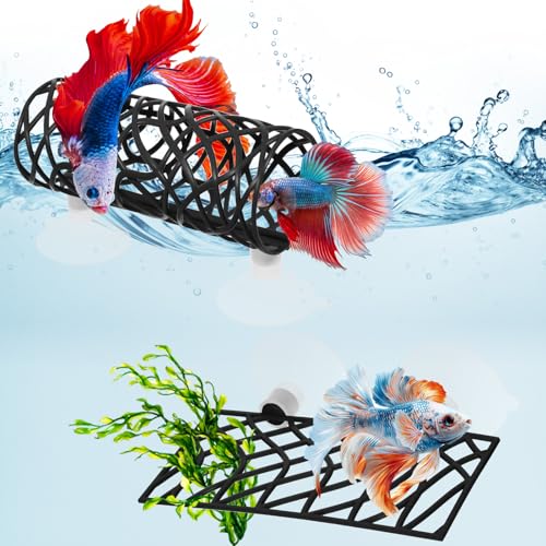 Betta Aquarium-Zubehör, Betta-Tunnel und Hängematte, Aquarium-Versteck, Bettas-Fischspielzeug mit Saugnäpfen, perfekt zum Verstecken und Spielplatz, 9,9 x 5,1 cm Plattform, 9,9 x 4,1 cm Tunnel Betta Aquarium-Zubehör, Betta-Tunnel und Hängematte, Aquarium-Versteck, Bettas-Fischspielzeug mit Saugnäpfen, perfekt zum Verstecken und Spielplatz, 9,9 x 5,1 cm Plattform, 9,9 x 4,1 cm Tunnel von Yuanan