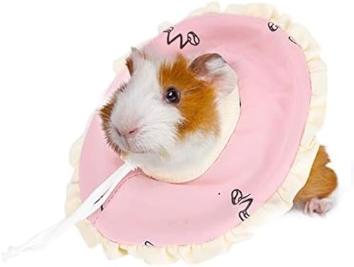 Kleines Haustier-Halsband, Schutzkreis, für kleine Tiere, Genesungshalsband, Kegel mit verstellbarer Schnalle, für Hamster, Kaninchen, Meerschweinchen, Igel Kleines Haustier-Halsband, Schutzkreis, für kleine Tiere, Genesungshalsband, Kegel mit verstellbarer Schnalle, für Hamster, Kaninchen, Meerschweinchen, Igel von Yuanyifenglin
