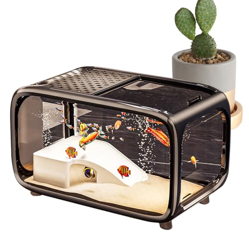 Yuecjian Aquarium - Desktop Fischglas Schildkrötenbecken mit Kletterdekoration - Klarer Acrylbehälter Lebensraum Für Schildkröten Schnecken Betta Wasserpflanzen Yuecjian Aquarium - Desktop Fischglas Schildkrötenbecken mit Kletterdekoration - Klarer Acrylbehälter Lebensraum Für Schildkröten Schnecken Betta Wasserpflanzen von Yuecjian