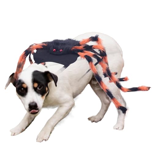 Yuecjian Hund Spinne Kostüm, Halloween Spinnen Outfit Für Kleine Hunde, Spuk Fest Kleidung Haustier Zubehör Für Welpe Feier Fotosession Umzug Party Yuecjian Hund Spinne Kostüm, Halloween Spinnen Outfit Für Kleine Hunde, Spuk Fest Kleidung Haustier Zubehör Für Welpe Feier Fotosession Umzug Party von Yuecjian