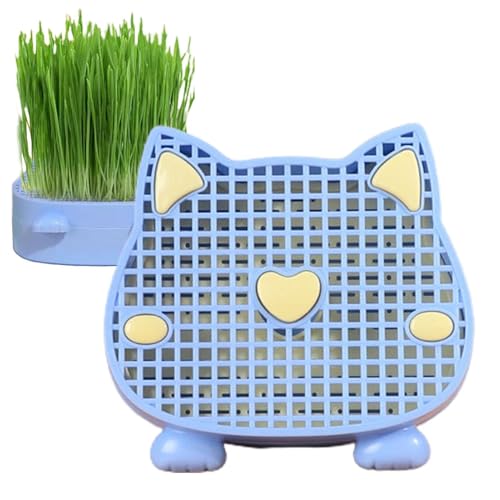 Yuecjian Katzengras-Pflanzgefäß, geschichtete Katzenminze, Katzengras, Pflanzkasten mit Netzschale, Kindergarten für Katzen, Gras, Tasse, Pflanzgefäß von Yuecjian