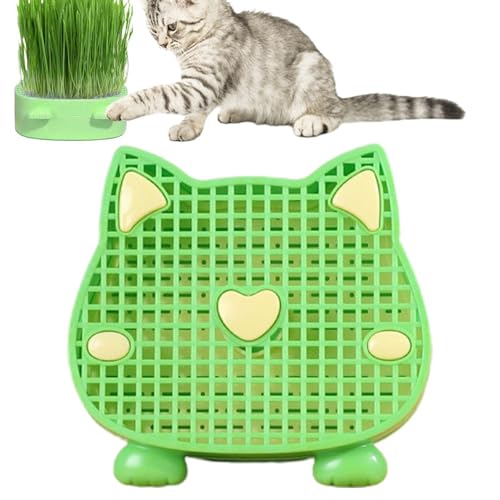 Yuecjian Katzengras-Pflanzgefäß, geschichtete Katzenminze, Katzengras, Pflanzkasten mit Netzschale, Kindergarten für Katzen, Gras, Tasse, Pflanzgefäß von Yuecjian