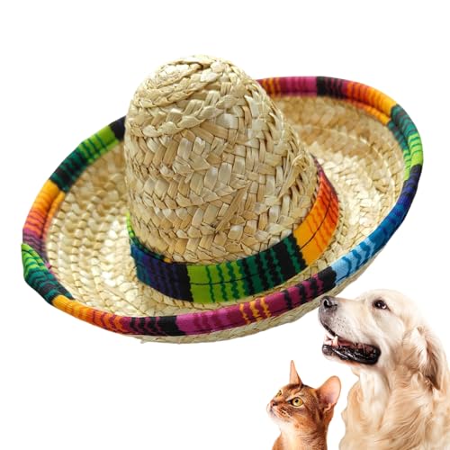 Yuecjian Mini Sombrero Hüte | Geflochtener Mexiko Hut,Kopfband Mit Breiter Krempe Kinder Kostüm Deko Geburtstagsfeiern Yuecjian Mini Sombrero Hüte | Geflochtener Mexiko Hut,Kopfband Mit Breiter Krempe Kinder Kostüm Deko Geburtstagsfeiern von Yuecjian