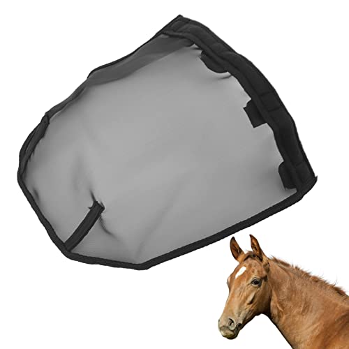 Horse Nose Net, Horse Nose Cover, Horse Breathable Nose Fine Mesh Net, Comfort Horse Nose Fly Mask for Horses with Allergies, Respiratory Problems, Black Plastic Horse Nose Net, Horse Nose Cover, Horse Breathable Nose Fine Mesh Net, Comfort Horse Nose Fly Mask for Horses with Allergies, Respiratory Problems, Black Plastic von Yuecoom