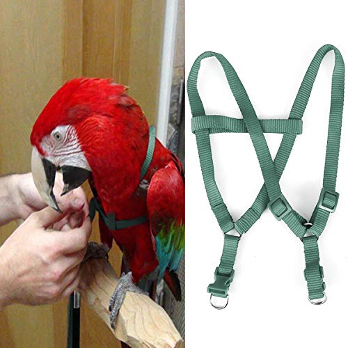 Yuehuam Papagei Fliegende Leine 120Cm Verstellbares Vogelgeschirr Anti-Biss-Traktionstraining Flugseil für Papageien Afrikanische Graue Kakadu Reptilien Eidechse Conure Yuehuam Papagei Fliegende Leine 120Cm Verstellbares Vogelgeschirr Anti-Biss-Traktionstraining Flugseil für Papageien Afrikanische Graue Kakadu Reptilien Eidechse Conure von Yuehuam