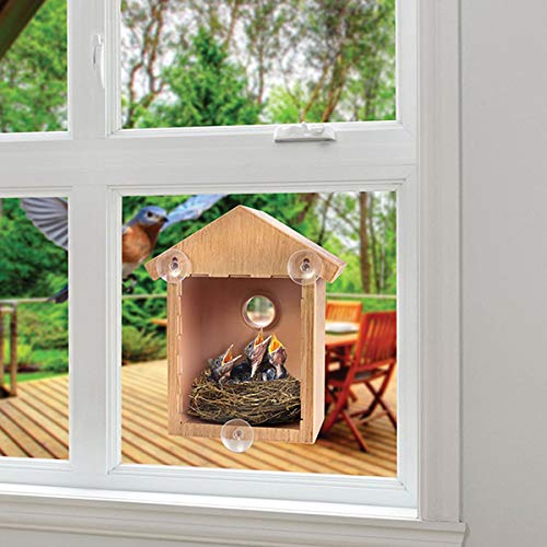 Yuehuam Vogelhaus Nistkasten mit Saugnäpfen Garten Vogelhaus für Kleine Vögel Spatzen Titten Robin Nester Garten Ornament Bodengröße: 5. 51X3. 94In Yuehuam Vogelhaus Nistkasten mit Saugnäpfen Garten Vogelhaus für Kleine Vögel Spatzen Titten Robin Nester Garten Ornament Bodengröße: 5. 51X3. 94In von Yuehuam