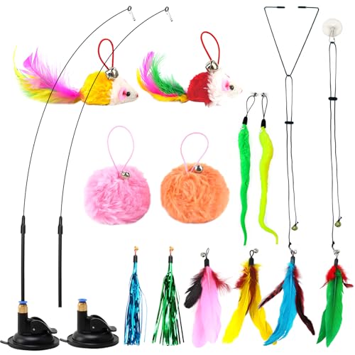 16pcs interaktive Katze Spielzeug selbst spielen Katze und Kätzchen Spielzeug mit Wand Federn Bälle Maus Spielzeug Saugnapf Katzenspielzeug Set für gelangweilte Indoor- Katzen Kitty spielen Übung 16pcs interaktive Katze Spielzeug selbst spielen Katze und Kätzchen Spielzeug mit Wand Federn Bälle Maus Spielzeug Saugnapf Katzenspielzeug Set für gelangweilte Indoor- Katzen Kitty spielen Übung von Yuehuamech