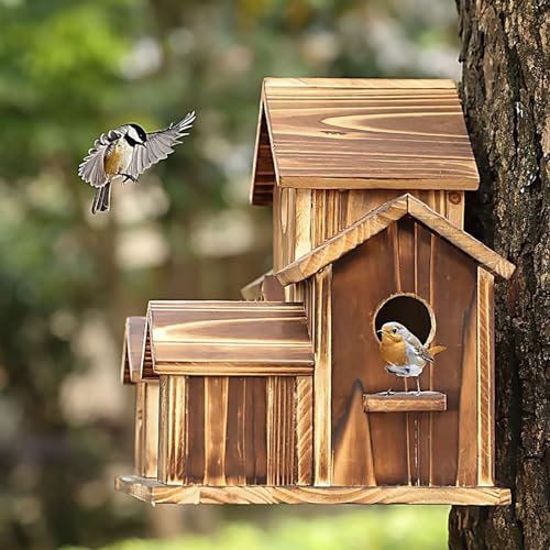 Yuehuamech Hölzerne Vogelhäuser für draußen natürliche Vogelhaus Clearance Hanging Box Nest Kolibri Haus für Garten Hof Hinterhof Patio Wild Papagei Dekor Yuehuamech Hölzerne Vogelhäuser für draußen natürliche Vogelhaus Clearance Hanging Box Nest Kolibri Haus für Garten Hof Hinterhof Patio Wild Papagei Dekor von Yuehuamech