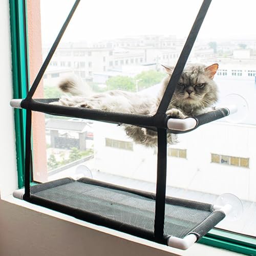 Yuehuamech Katze Fenster Barsch Doppelt geschichtet Katze Hängematte Katze Regal Katze Fenster Bett bis zu 25kg 2 Tiers Katze Fenster Bett weiche Matten Sunny Regal Haustier Zubehör Yuehuamech Katze Fenster Barsch Doppelt geschichtet Katze Hängematte Katze Regal Katze Fenster Bett bis zu 25kg 2 Tiers Katze Fenster Bett weiche Matten Sunny Regal Haustier Zubehör von Yuehuamech