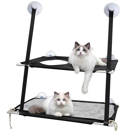 Yuehuamech Katze Fenster Barsch Doppelt geschichtet Katze Hängematte Katze Regal Katze Fenster Bett bis zu 25kg 2 Tiers Katze Fenster Bett weiche Matten Sunny Regal Haustier Zubehör Yuehuamech Katze Fenster Barsch Doppelt geschichtet Katze Hängematte Katze Regal Katze Fenster Bett bis zu 25kg 2 Tiers Katze Fenster Bett weiche Matten Sunny Regal Haustier Zubehör von Yuehuamech
