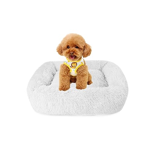 Plüsch Donut Hundebett beruhigend rundes Hundebett Katzenbett flauschige Haustiermatte Kuschelkissen weiche selbstwärmende Schlafmatte Zwinger Hundeloch mit Anti- Rutsch- Boden für Hunde Katzen Plüsch Donut Hundebett beruhigend rundes Hundebett Katzenbett flauschige Haustiermatte Kuschelkissen weiche selbstwärmende Schlafmatte Zwinger Hundeloch mit Anti- Rutsch- Boden für Hunde Katzen von Yuehuamech