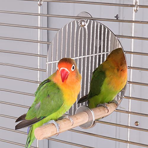 Yuehuamech Vogelspiegel mit Holzbarsch Edelstahl Vogelkäfig Spiegel Haustier Spiegel Standing Rod Swing Papagei Käfig Spielzeug für Budgies Cockatiel Cockatiel Kegel Lovebirds von Yuehuamech