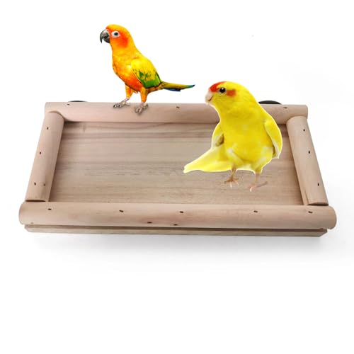 Yuelulala Papageien-Vogel-Sitzstange, Vogel-Plattform-Spielzeug, natürliches Holzkäfigstangenzubehör, Pfotenschleifen, Stehende Kletterstange für Papageien, Vögel, stehender Futternapf (A88-1) von Yuelulala