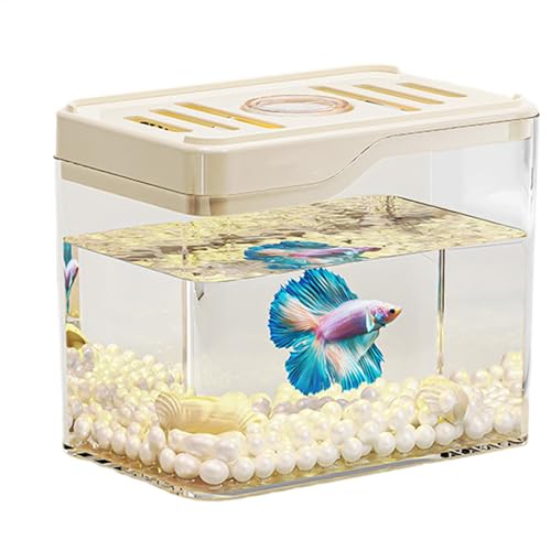 Yuemeuy Klarer Fischtank, Betta Fischtank - Fischtank mit oberem Belüftungslochdesign,Zimmerdekorschale mit farbenfrohen LED -Leuchten für Häuser oder Büros von Yuemeuy