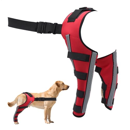 Yugugomo Hundekniegelaste, Hunde Hüftklammer - Pet Joint Hip Support Brace | Tragbarer Tierkniewundschutz für kleine Tiere Genesung von Yugugomo
