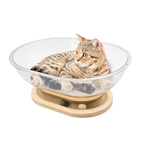 Yuhtech Space Capsule Katzenbett, Indoor Katzen Bett Katzennest mit Bahnbällen Spielzeug, Massivholzständer Stabiles Kätzchennest Transparnt Katzenhaus für Kätzchen Katzen Yuhtech Space Capsule Katzenbett, Indoor Katzen Bett Katzennest mit Bahnbällen Spielzeug, Massivholzständer Stabiles Kätzchennest Transparnt Katzenhaus für Kätzchen Katzen von Yuhtech