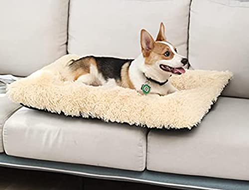 Weiches Haustierbett, waschbar, Plüsch, gemütlich, flauschig, für Hunde und Katzen, rutschfeste Unterseite, Welpenkissen, für Sofa, Boden, Kiste, 78 x 55 cm, Beige von Yuing