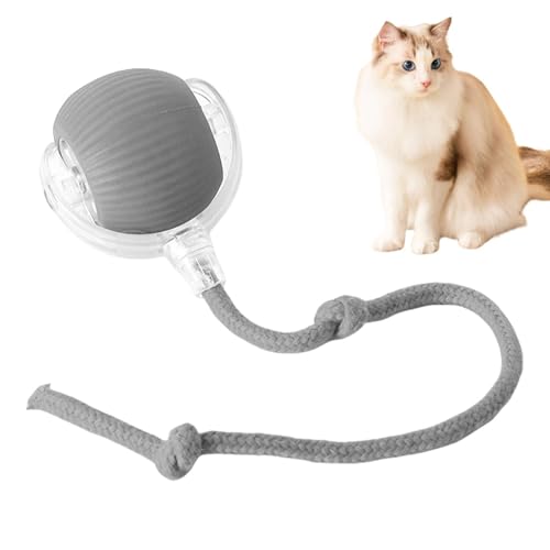 Yulokdwi Interaktives Katzenspielzeug Katzenball,Katzensprint Spielzeug, Interaktives Katzenspielzeug, Automatischer 360° Rollender Mate Ball Für Große Kleine Katzen Und Hunde Im Innenbereich Yulokdwi Interaktives Katzenspielzeug Katzenball,Katzensprint Spielzeug, Interaktives Katzenspielzeug, Automatischer 360° Rollender Mate Ball Für Große Kleine Katzen Und Hunde Im Innenbereich von Yulokdwi
