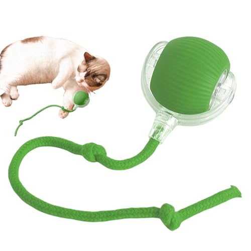 Yulokdwi Interaktives Katzenspielzeug Katzenball,Katzensprint Spielzeug, Interaktives Katzenspielzeug, Automatischer 360° Rollender Mate Ball Für Große Kleine Katzen Und Hunde Im Innenbereich Yulokdwi Interaktives Katzenspielzeug Katzenball,Katzensprint Spielzeug, Interaktives Katzenspielzeug, Automatischer 360° Rollender Mate Ball Für Große Kleine Katzen Und Hunde Im Innenbereich von Yulokdwi
