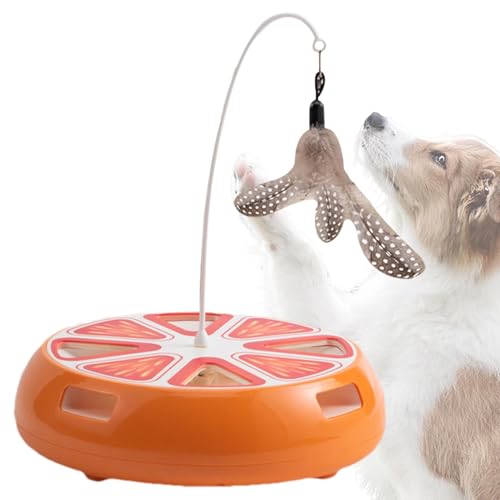 Yulokdwi Katzen-Drehteller-Spielzeug, Katzenspielzeug-Roller | Kitten Toys Selbstständigkeit Interaktiver Katzen-Drehteller | Katzenübungsspielzeug Intelligentes intelligentes Katzenspielzeug für das Yulokdwi Katzen-Drehteller-Spielzeug, Katzenspielzeug-Roller | Kitten Toys Selbstständigkeit Interaktiver Katzen-Drehteller | Katzenübungsspielzeug Intelligentes intelligentes Katzenspielzeug für das von Yulokdwi