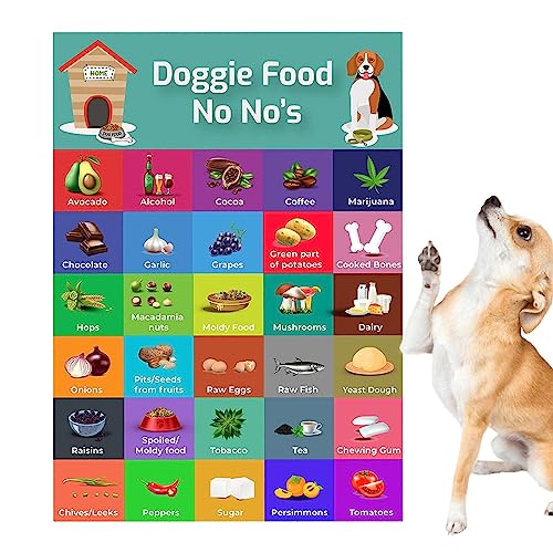 Yulokdwi Sicherheitsliste für Hundefutter,Liste für sicheres Hundefutter | 30 farbenfrohe und sichere Lebensmittelarten mit Bildern - Tragbare Fütterungstabelle für Hunde, Lebensmitteltabelle, die von Yulokdwi