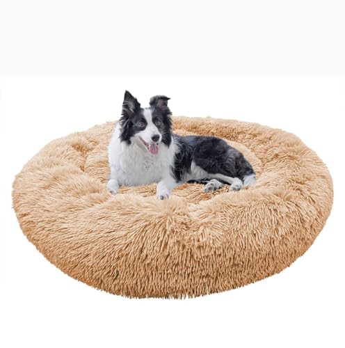 Hundekorb Waschbar, Anti-Angst Deluxe Plüsch Hundebetten, Hundematte mit Rutschfester Unterseite, Ultra Weicher Plüsch Haustierbett für Kleine, Mittelgroße und Große Hunde, Katzen (Aprikose,120CM(XL)) Hundekorb Waschbar, Anti-Angst Deluxe Plüsch Hundebetten, Hundematte mit Rutschfester Unterseite, Ultra Weicher Plüsch Haustierbett für Kleine, Mittelgroße und Große Hunde, Katzen (Aprikose,120CM(XL)) von Yuly