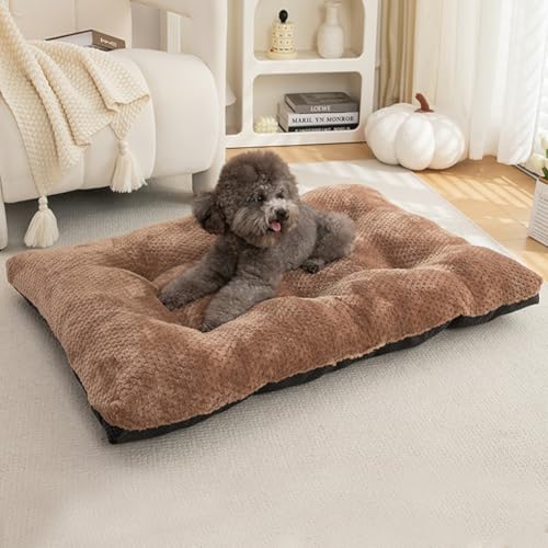 Yuly Hundebett,Premium Hundekissen,Hundekorb,Orthopädischer Komfort,Hundematte für große,mittelgroße Hunde,Waschbar & Pflegeleicht,rutschfeste Unterseite,Weich und Bequem (65x50x10cm,Khaki) von Yuly